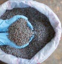 Fertilizer Industry